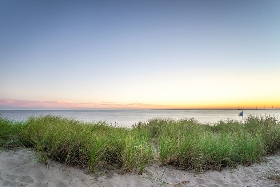 sand, green, grass, beach, coast, shore, sea, water, horizon HD wallpaper