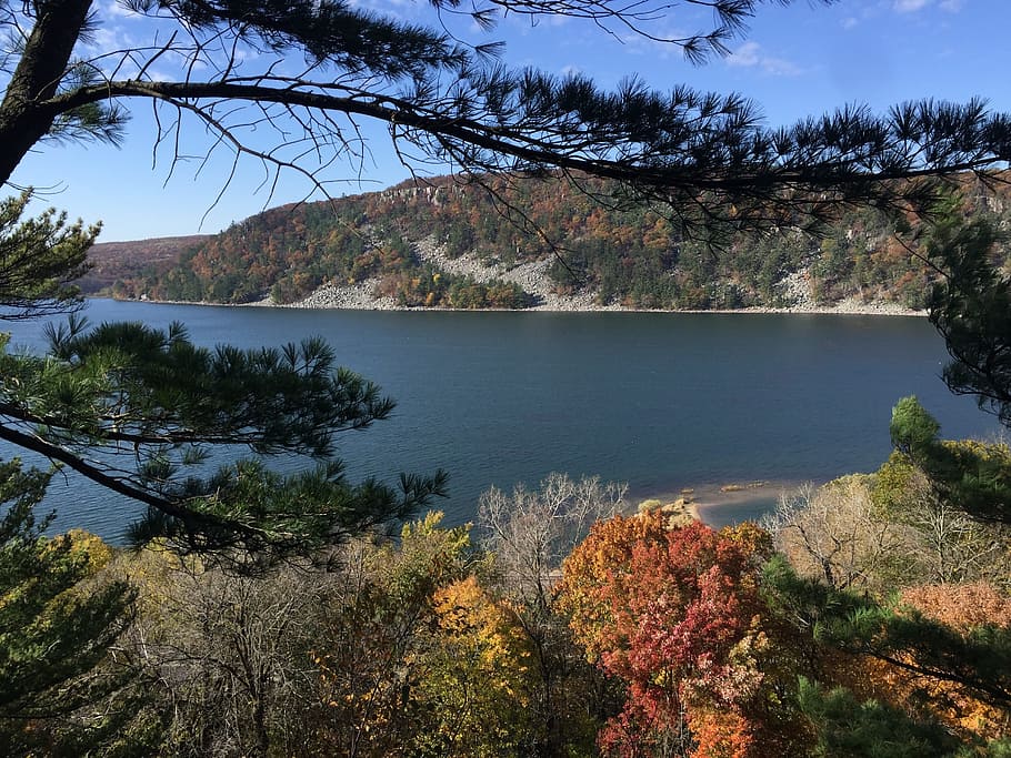 devils lake, autumn, wisconsin, tree, water, plant, beauty in nature HD wallpaper