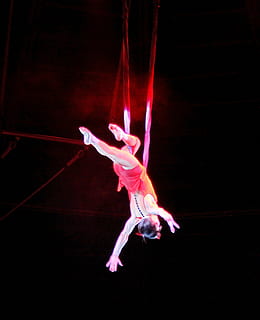 woman performing acrobatic stunts in dimmed room, circus, trapez HD wallpaper