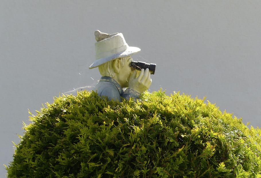 binoculars, bush, sensing, stalk, man, garden, figure, plant HD wallpaper