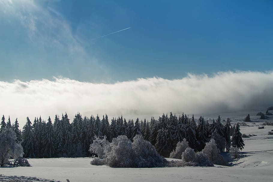 winter, snow, wintry, hochrhoen, wasserkuppe, rhön winter HD wallpaper