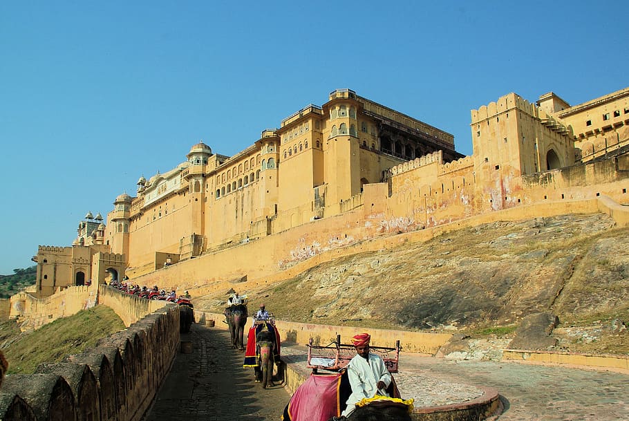 India, Rajastan, Fort, Amber, mughal architecture, elephants, HD wallpaper