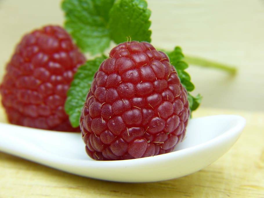 two red raspberries on white ceramic tray, raspberry, mint, fruit