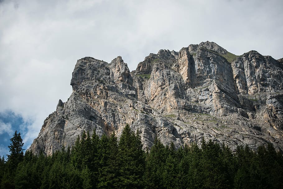 trees near mountain during daytime, grey, black, rocky, hill