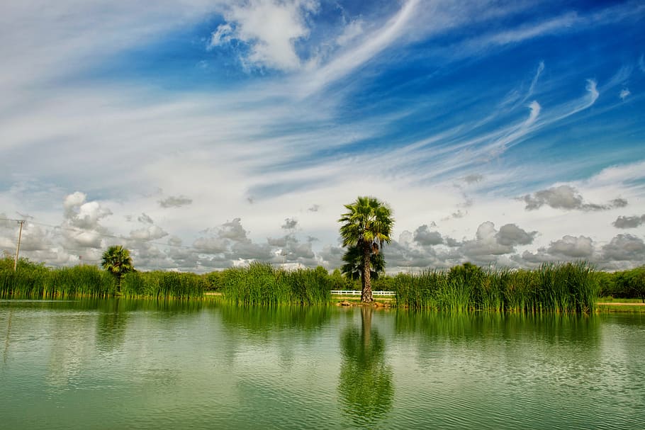 body of water near trees under cloudy sky at daytime, landscape HD wallpaper