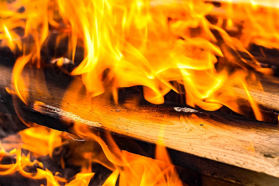 close up photo of wood fire, flame, campfire, adventure, burn HD wallpaper