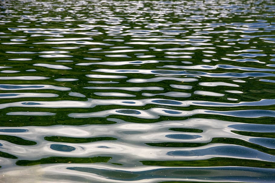 water, wave, river, still, full frame, backgrounds, no people HD wallpaper