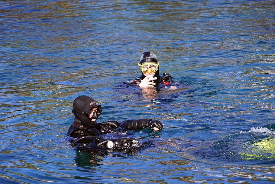 Divers, Diving Mask, Water, Atlantic, glasses, animals in the wild HD wallpaper
