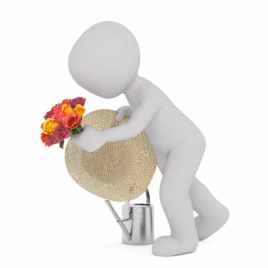 3D person holding flowers illustration, males, 3d model, isolated HD wallpaper