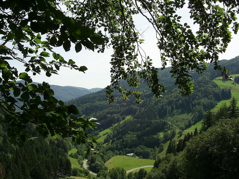 black forest, mountains, valley, landscape, firs, trees, plant HD wallpaper