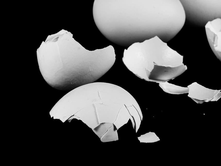 egg, hen's egg, eggshell, nutrition, food, eat, dine, vegetarian HD wallpaper