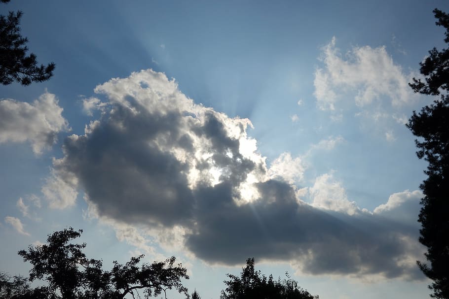cloud, thunderstorm, cumulus, cloud formation, sky, cloud - sky HD wallpaper
