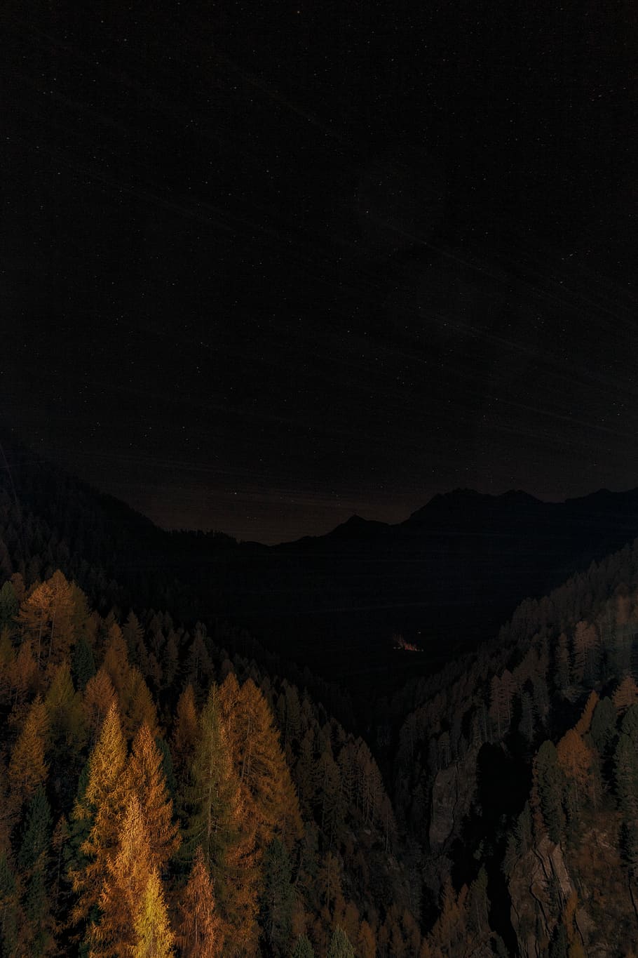 trees and mountain at nighttime photo, dark, forest, woodland HD wallpaper