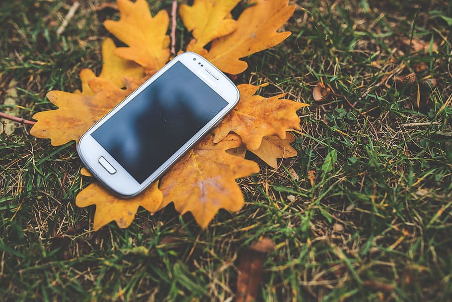 turned-off white Samsung Galaxy S III mini on yellow leafed plant HD wallpaper