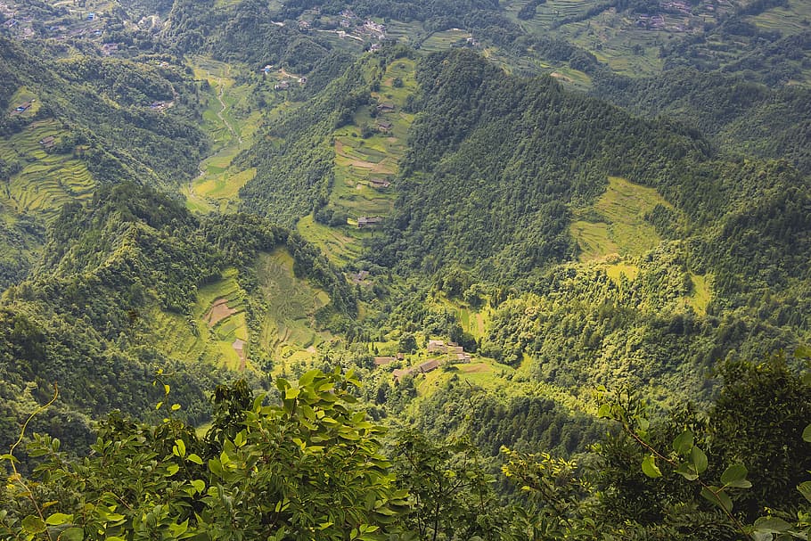 the scenery, views, mountain, nature, terraced Field, landscape HD wallpaper