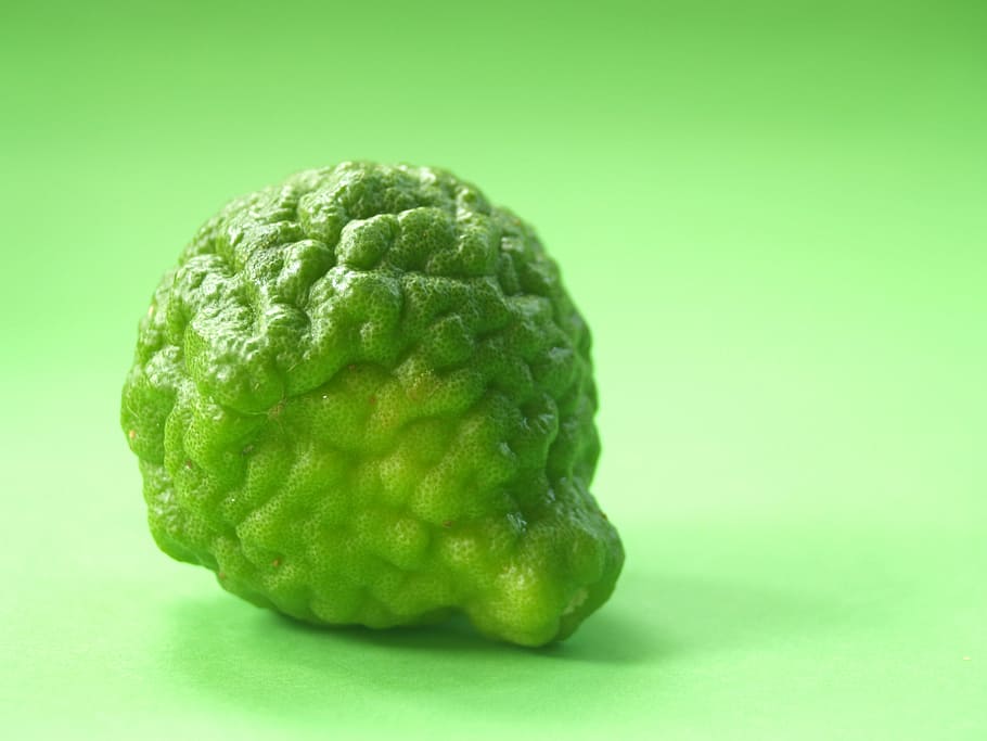 bergamot, fruit, leaf, isolated, thailand, rough, lemon, natural HD wallpaper