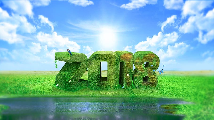 vows 2018, lawn, nature, summer, sky, rural, landscape, wood, HD wallpaper