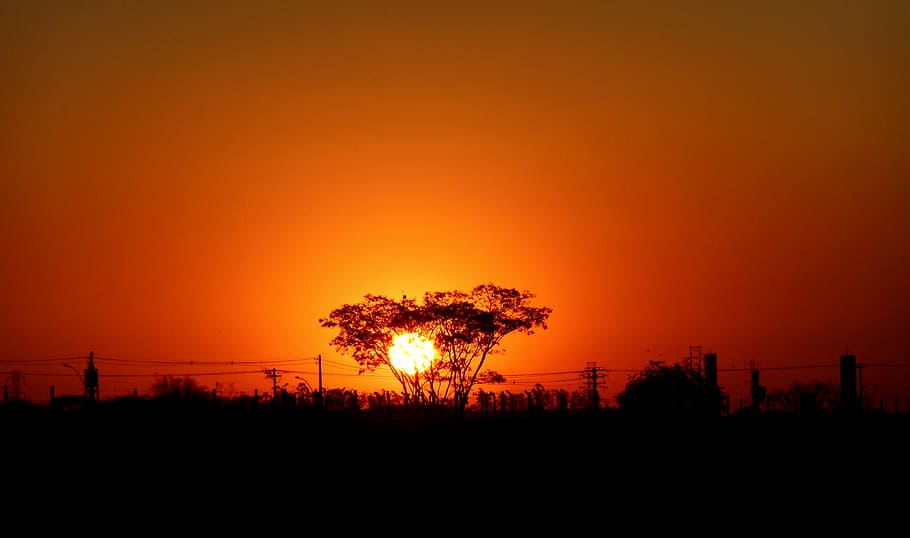 sol, sunset, against light, clouds in the sun, silhouette, tree HD wallpaper