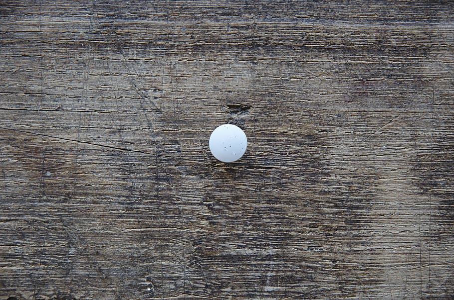 pushpin, drawing pin, thumbtack, white, wood, plank, wood - material HD wallpaper