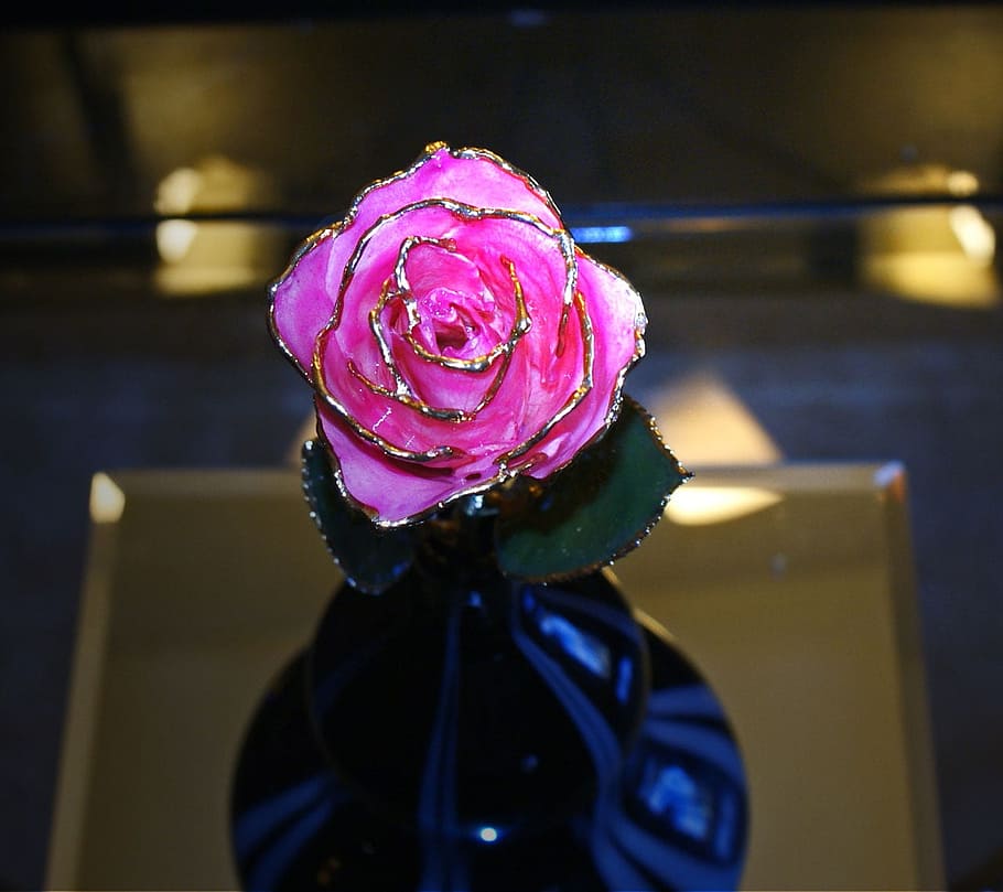 rose, lacquer, flower, gold, golden, decoration, love, plant HD wallpaper