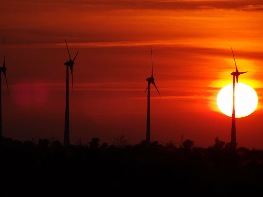 windmills, sun, nature, sunset, fuel and power generation, renewable energy HD wallpaper