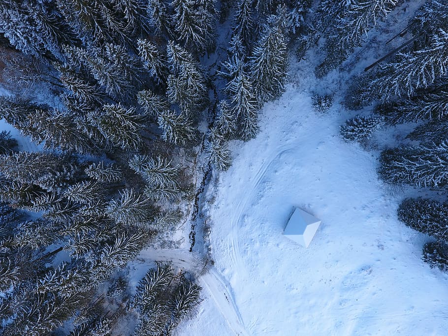 aerial view of snow capped forest, bird's-eye view of snow covered tree field HD wallpaper