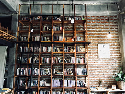 books on shelves, assorted-title book lot on rack, house, library HD wallpaper