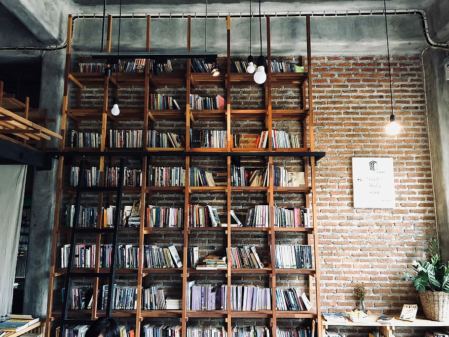 books on shelves, assorted-title book lot on rack, house, library HD wallpaper