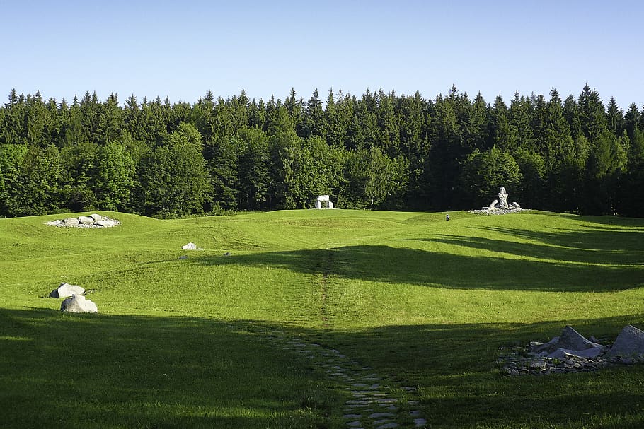 meadow, green, grass, plant, tree, golf, green color, nature HD wallpaper