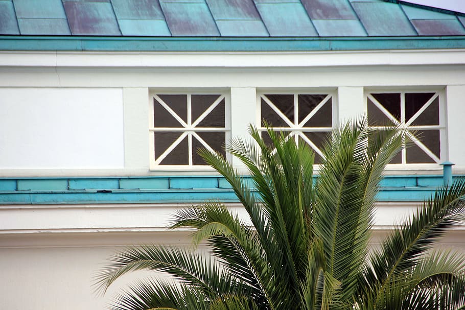 palm, tree, building, window, roof, blue, architecture, building exterior HD wallpaper