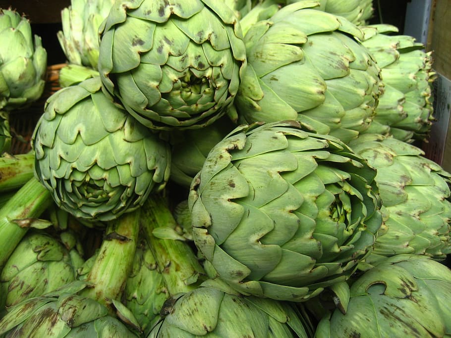Artichokes, Vegetable, Nature, healthy eating, food and drink HD wallpaper