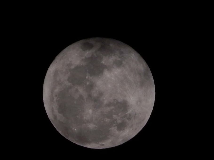 full, moon, night, space, astronomy, sky, full moon, planetary moon HD wallpaper