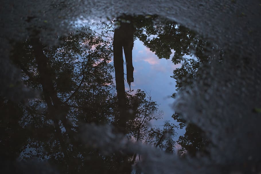 sky, cloud, dark, tree, plant, water, reflection, one person HD wallpaper
