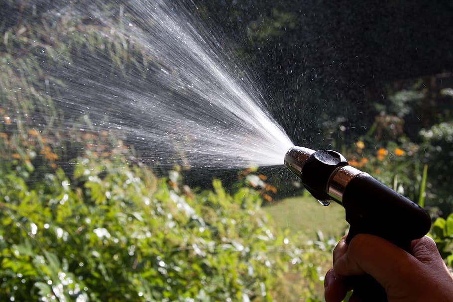 person using water spray near leaves during day, garden, casting HD wallpaper