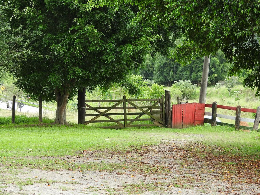 concierge, farm, trip, plant, tree, green color, boundary, fence HD wallpaper