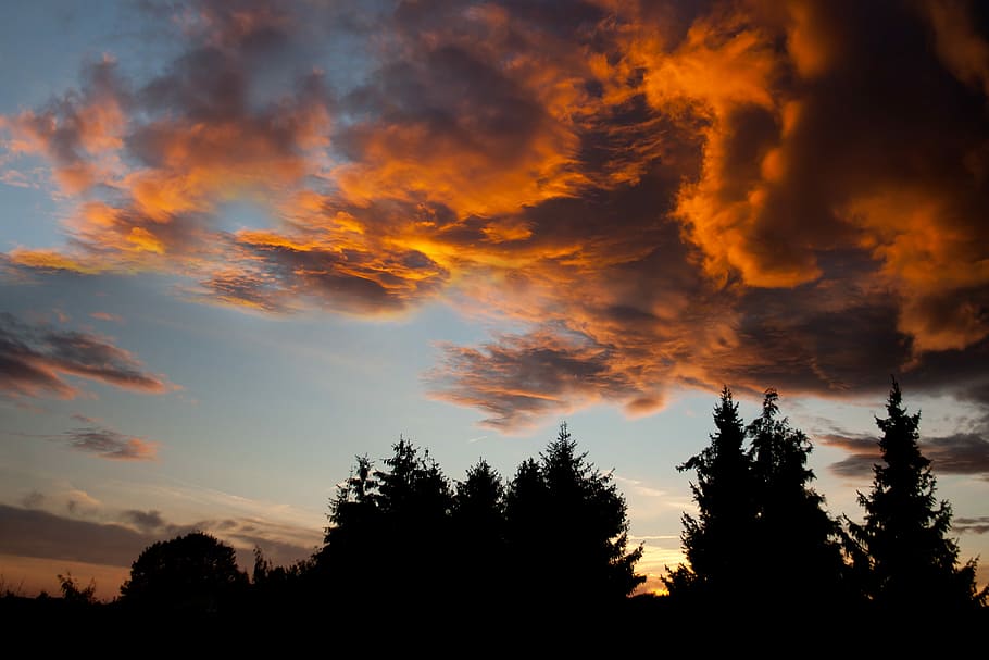 Orange Sky, Clouds, Mood, face, sunrise, surreal, morgenrot HD wallpaper