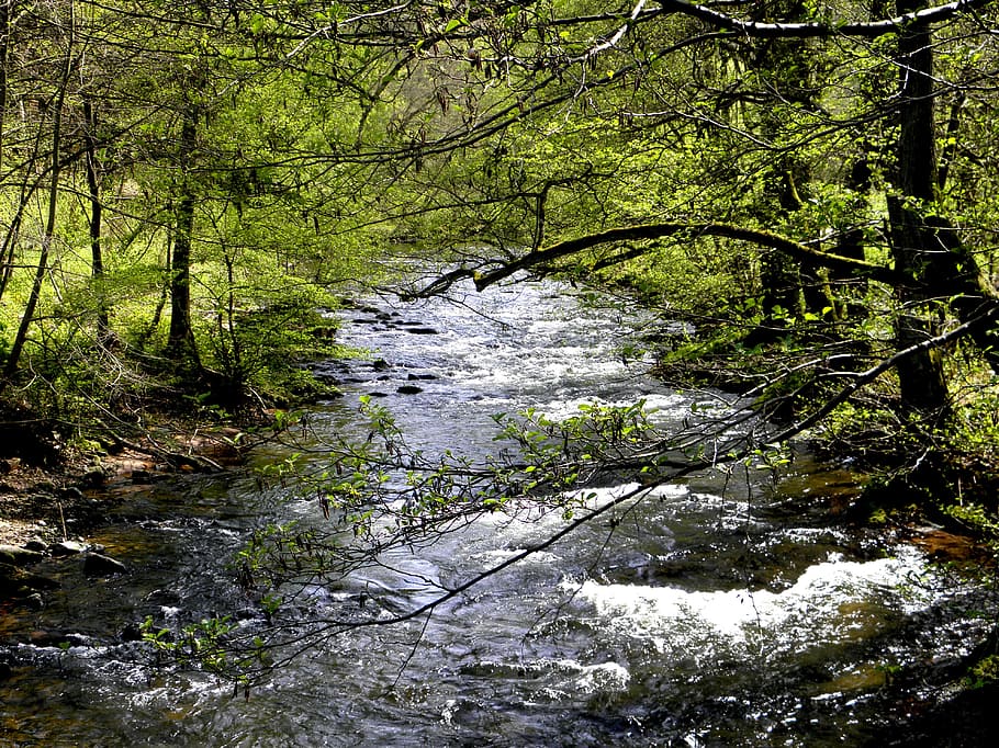 river, nature, water, forest, landscape, fluent, germany, waters HD wallpaper