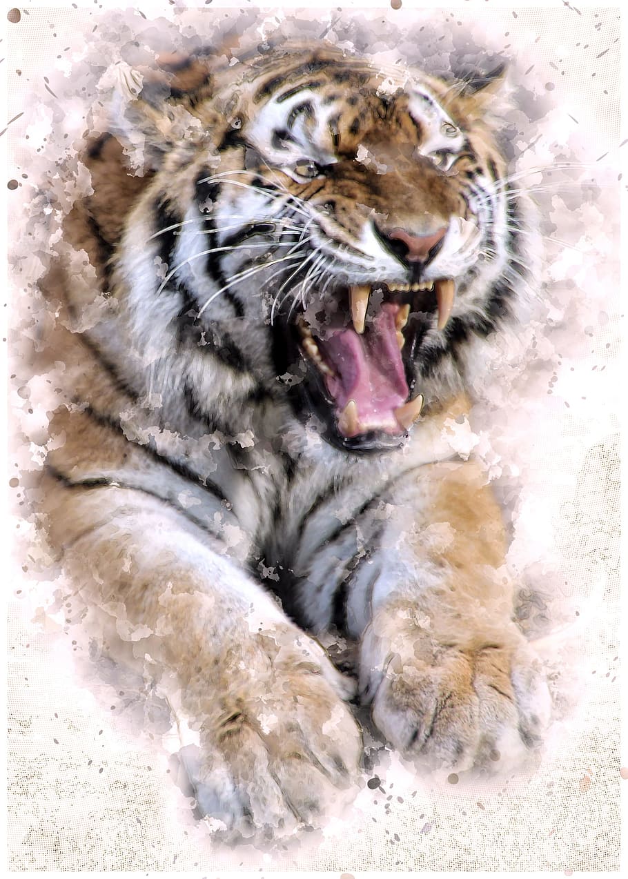 brown and black tiger illustration, cat, predator, animal, tooth