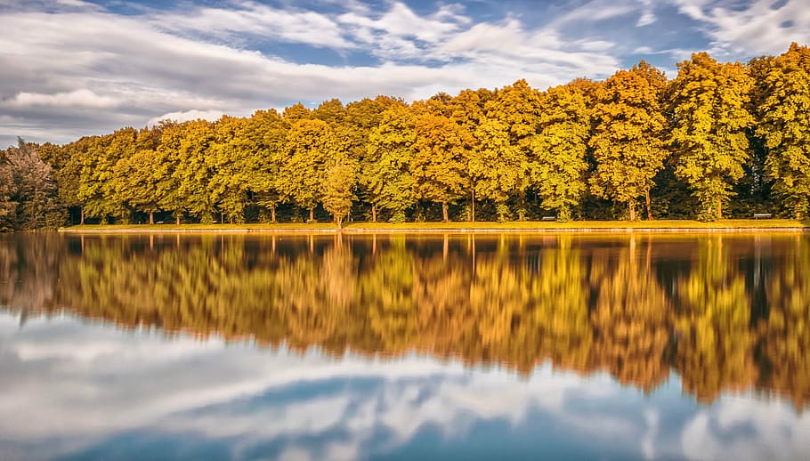 calm body of water, lake, mirroring, forest, summer, park, sky HD wallpaper