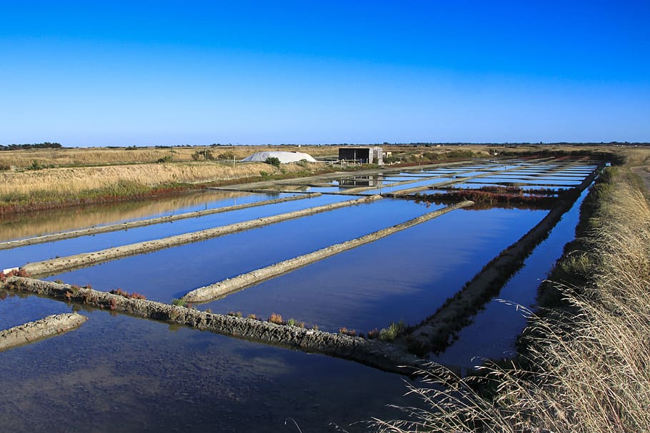 HD wallpaper: salt marsh, salt marshes, noirmoutier, salant, water ...