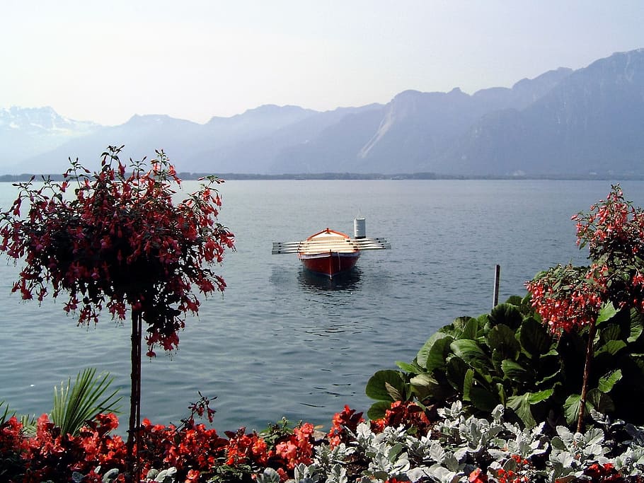 Water, Switzerland, Rowing Boat, more, flowers, lake geneva, HD wallpaper