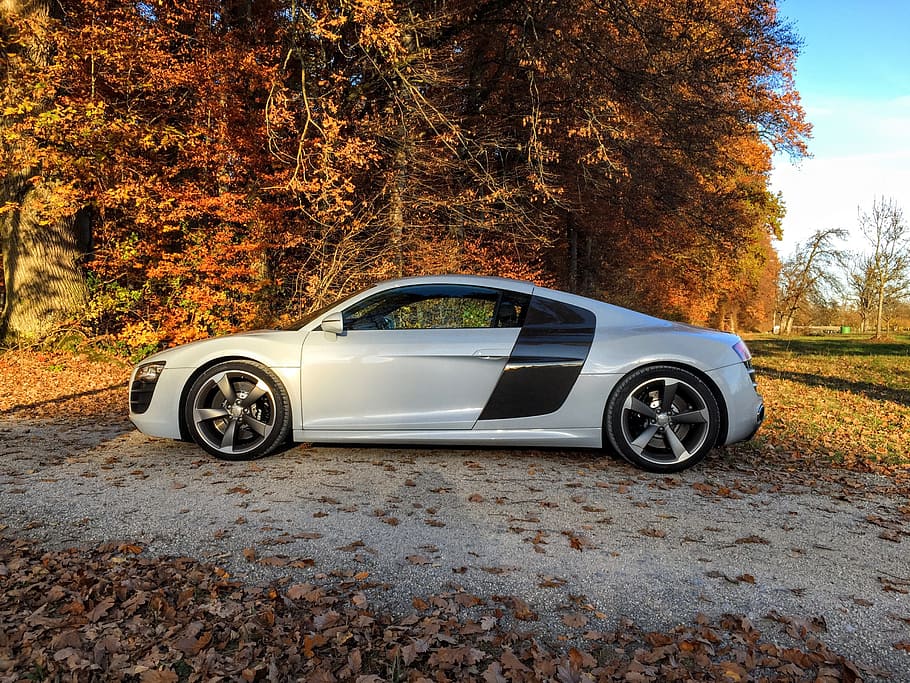 white and black coupe beside trees, audi, r8, sport, sports car, HD wallpaper