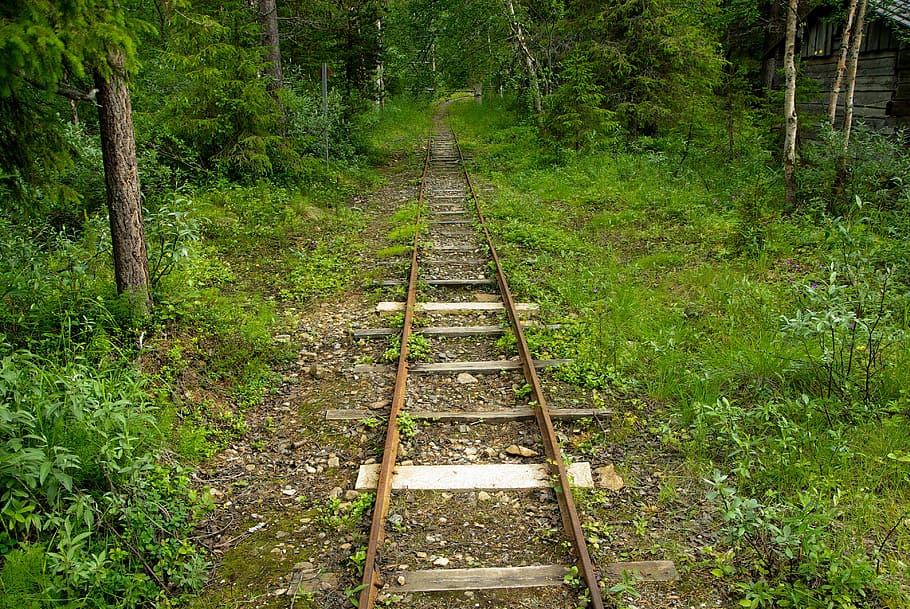 Track, Rails, former, forest, nature, railroad track, green color HD wallpaper