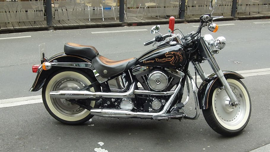 harley, motorcycle, krad, transportation, mode of transportation HD wallpaper
