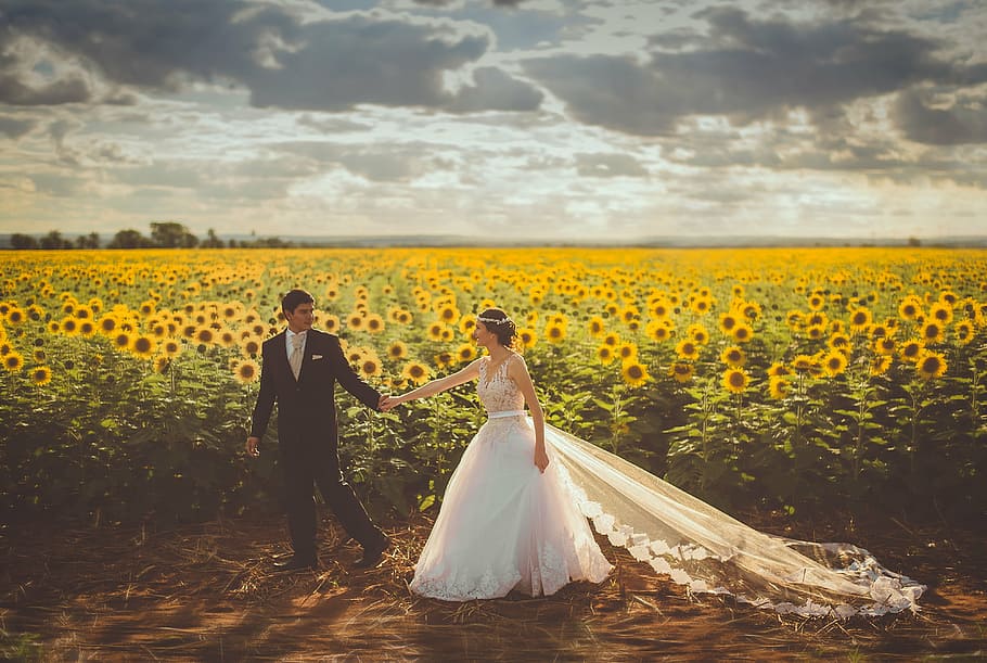 bride and groom walking near sunflower field at daytime, woman