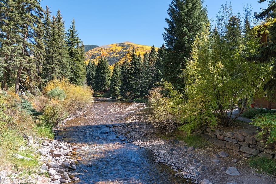 Vail, Colorado, Forest, Stream, Rocks, nature, usa, travel HD wallpaper