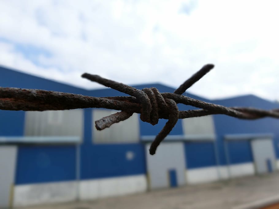 barbed wire, demarcation, stainless, metal, sky, fence, security HD wallpaper