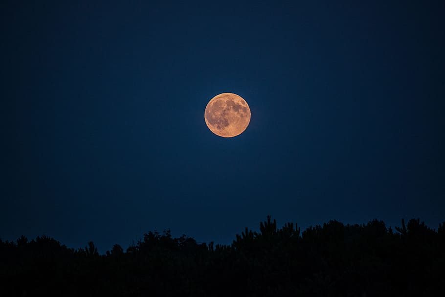 moon, sky, astronomy, full moon, nature, darkness, space, dusk HD wallpaper