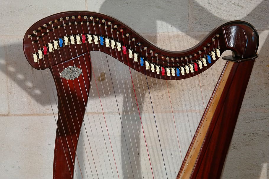 harp, plucked string instrument, musical instrument, stringed instrument