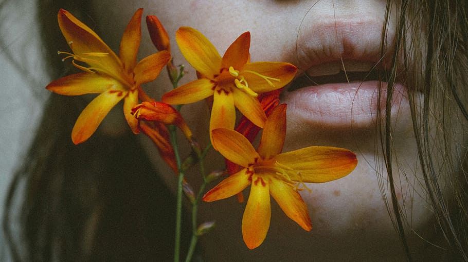 woman's face near orange petaled flowers, yellow flowers, lips